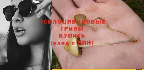 mdpv Приозерск