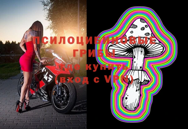 прущий лед Беломорск