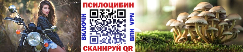 Галлюциногенные грибы прущие грибы  Баксан 